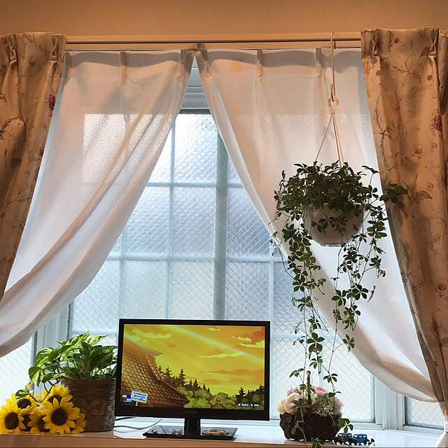 観葉植物/一人暮らし/部屋全体のインテリア実例 - 2020-08-15 18:09:32