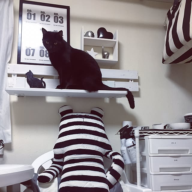Ericaaaさんの実例写真