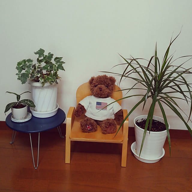 makikoさんの実例写真