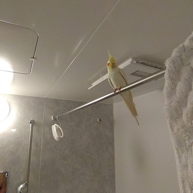 toratanさんの部屋