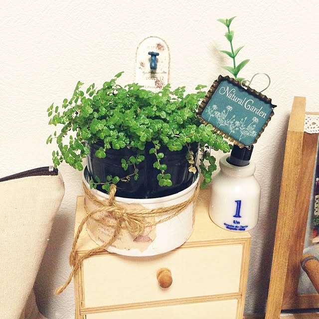 TO19さんの実例写真