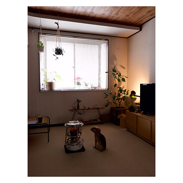 miiksさんの実例写真