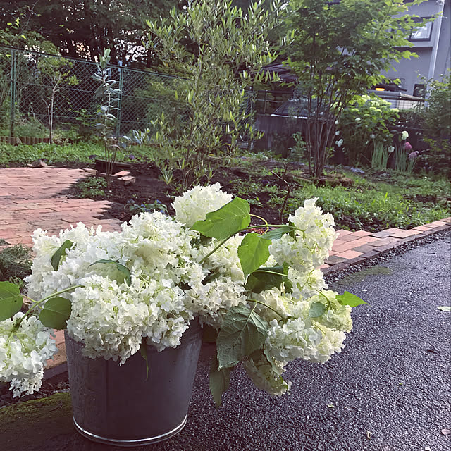 marucoさんの実例写真