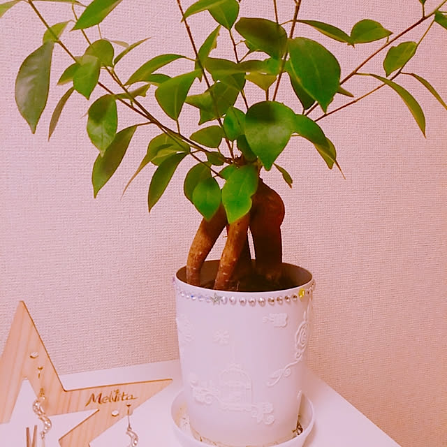 toraさんの実例写真