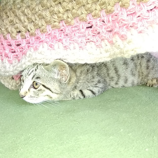 reikoさんの実例写真