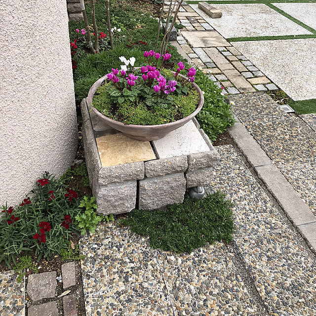pontaさんの実例写真