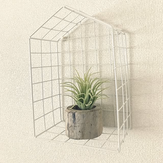 tansukeさんの実例写真