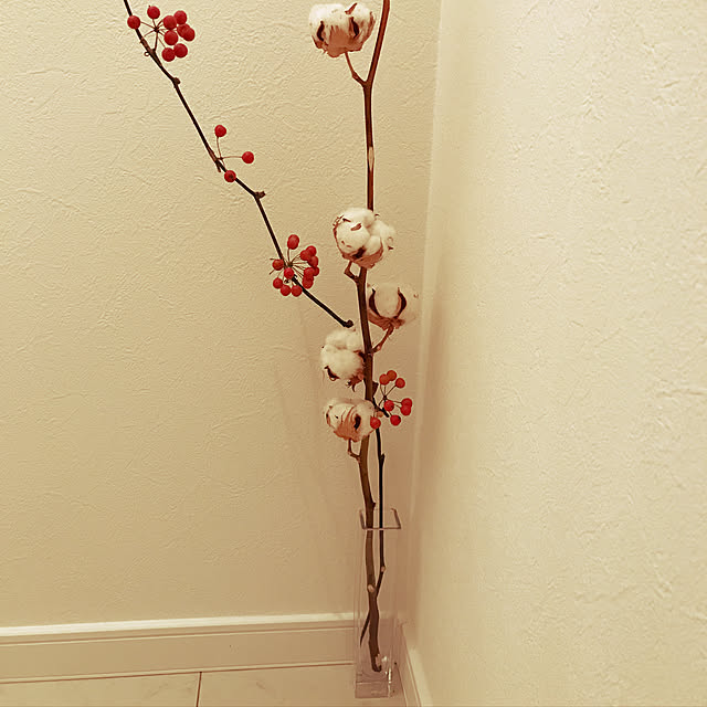 ayapu77さんの実例写真