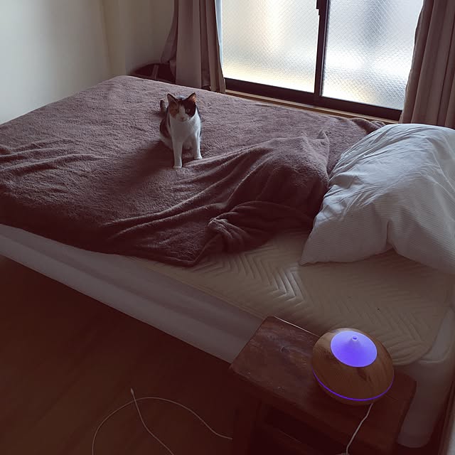 haney07さんの実例写真