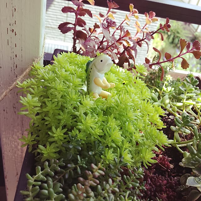 Naomiさんの実例写真
