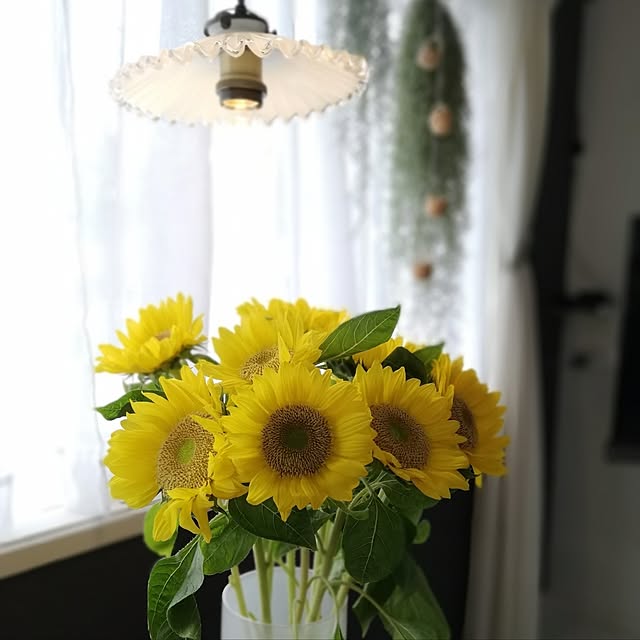 fumitanさんの部屋
