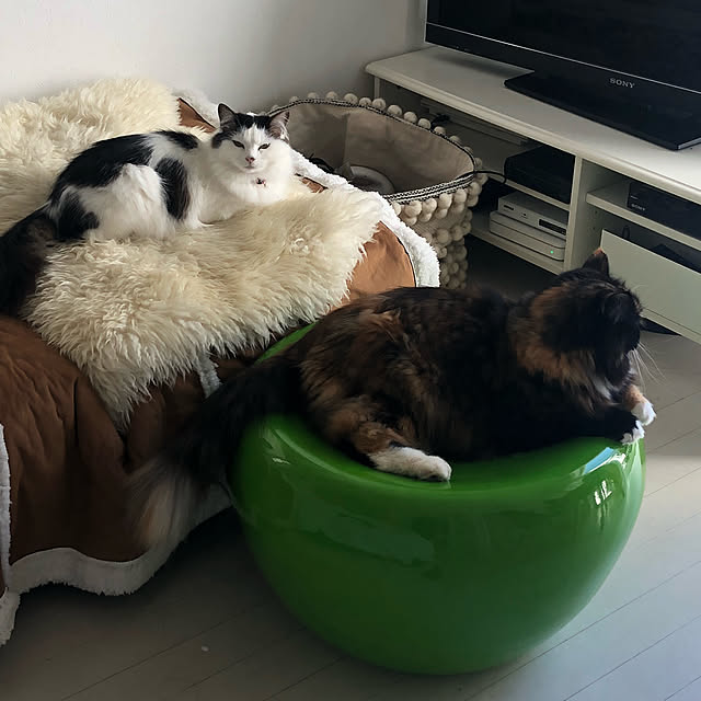 sayakaさんの実例写真