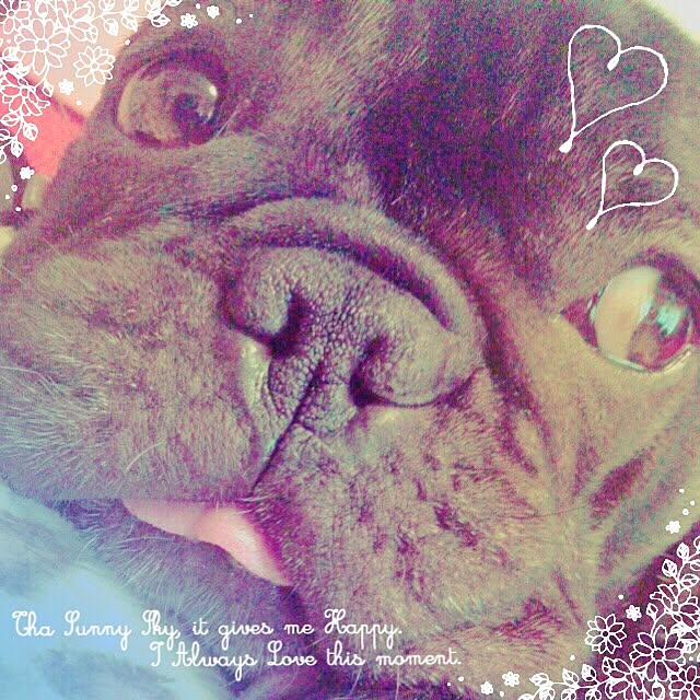 Suijiさんの実例写真