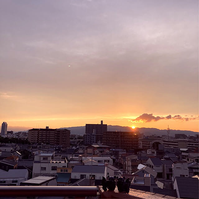 simple_blowbackさんの実例写真