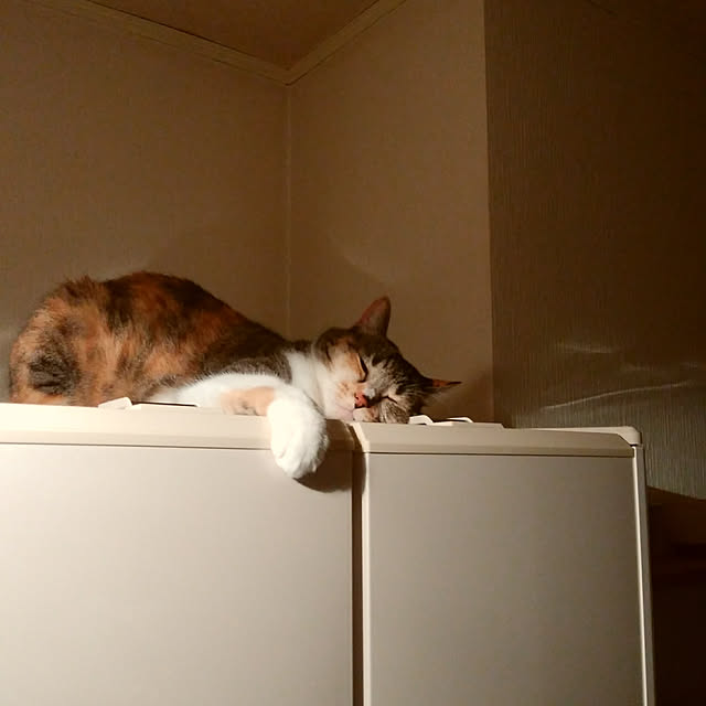 tomo1220さんの実例写真