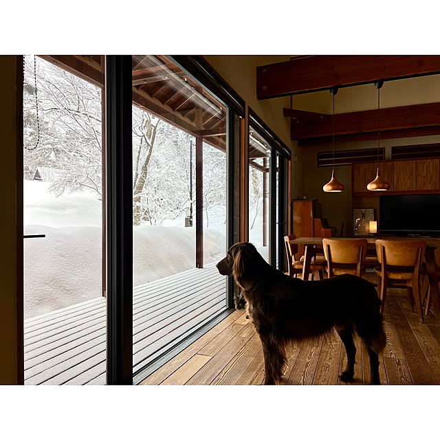 Kikko.さんの部屋