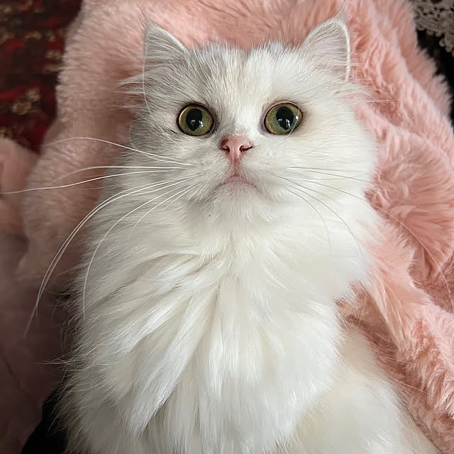 AYUKOさんの部屋