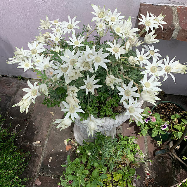 AYUKOさんの実例写真