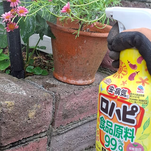 midoriさんの部屋