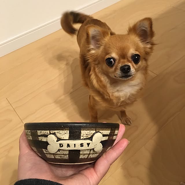 bon-bon-hippieさんの実例写真