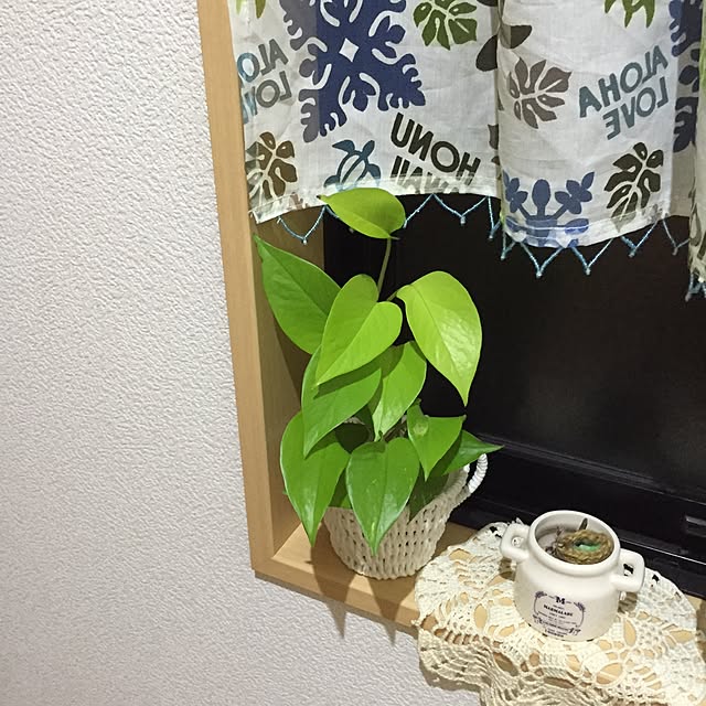 rinoさんの実例写真