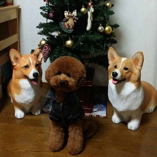 MARONさんの実例写真