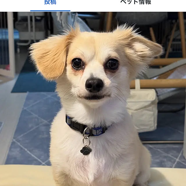Rainyさんの実例写真