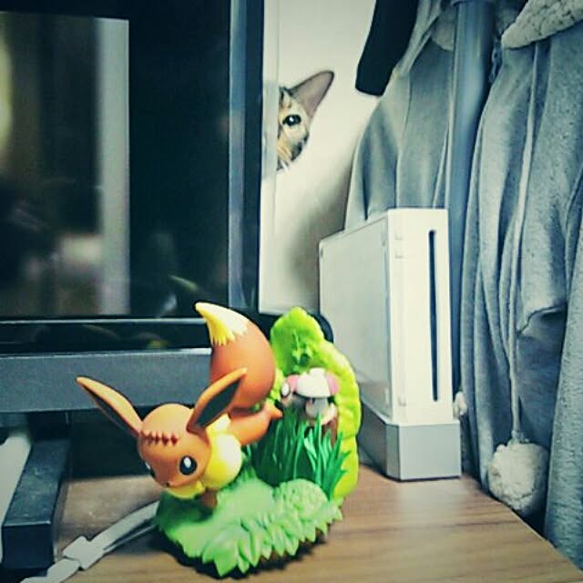 meronさんの実例写真