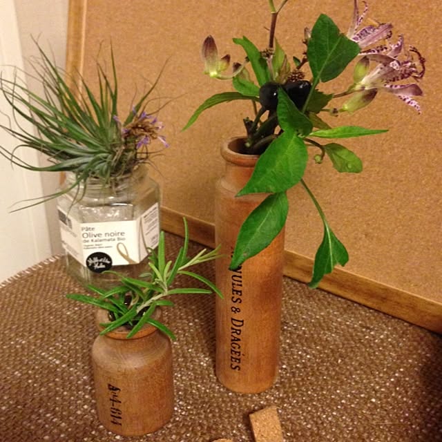 棚/植物のインテリア実例 - 2013-10-09 00:02:59