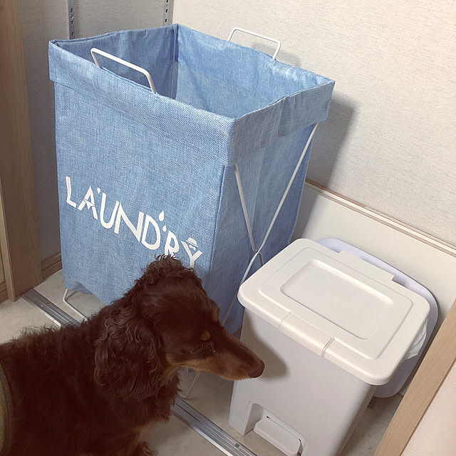 satonoriさんの実例写真