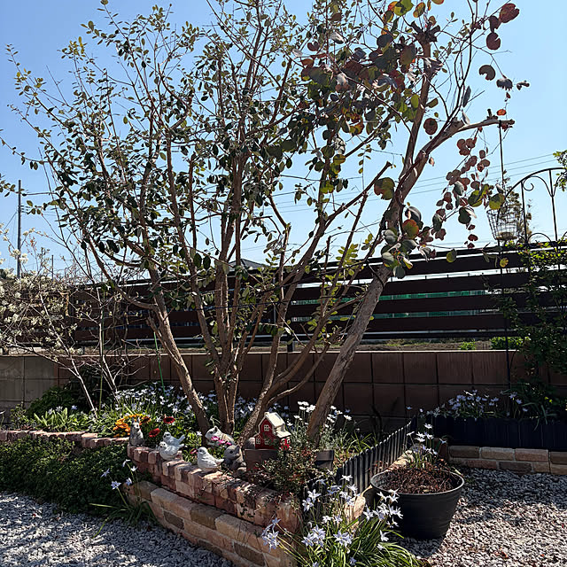 ronronさんの部屋