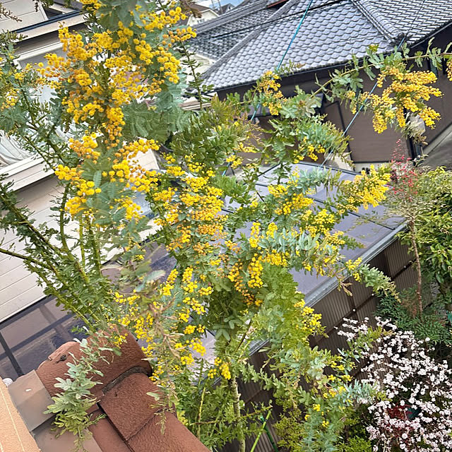 takakoさんの実例写真