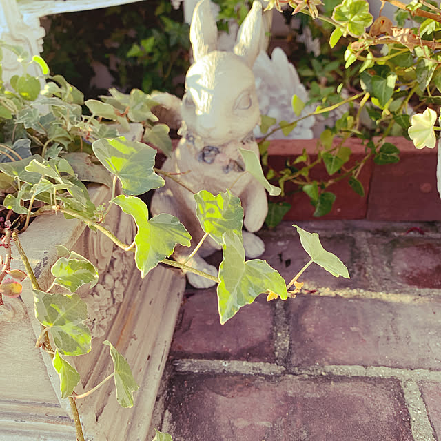 AYUKOさんの実例写真