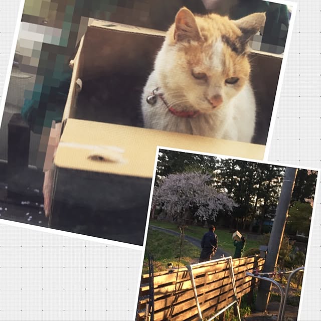 poncocoberryさんの実例写真