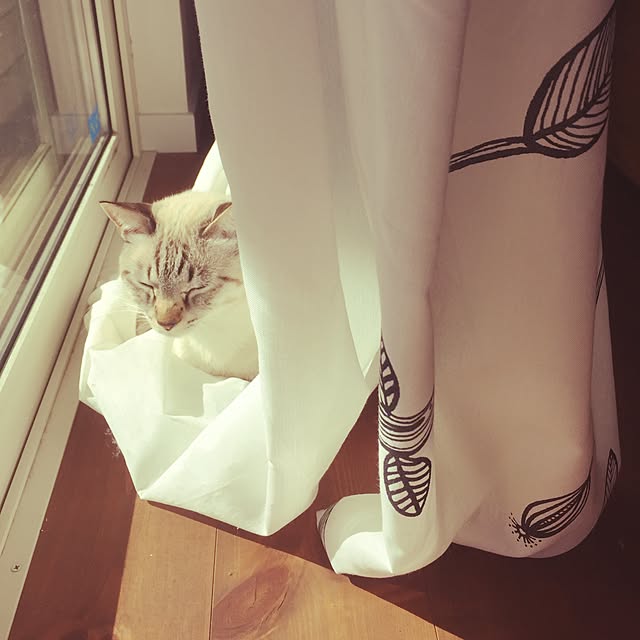 tsukiyuzuさんの実例写真