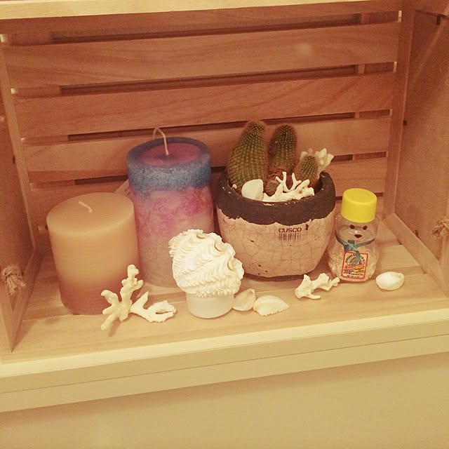 Konさんの実例写真