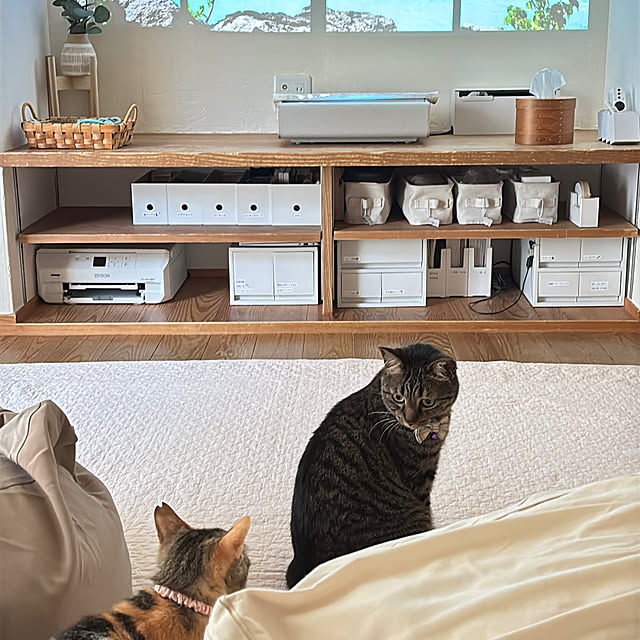 puu.tuuliさんの部屋