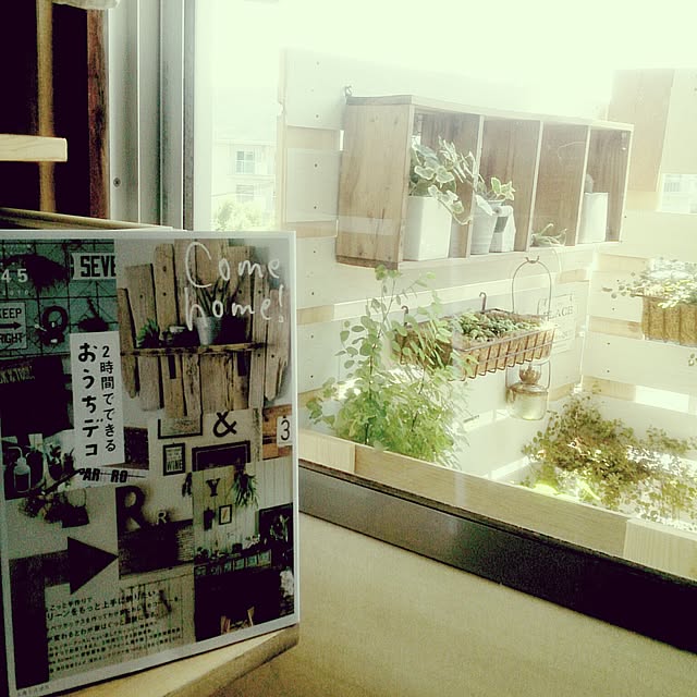 miporin0711さんの実例写真