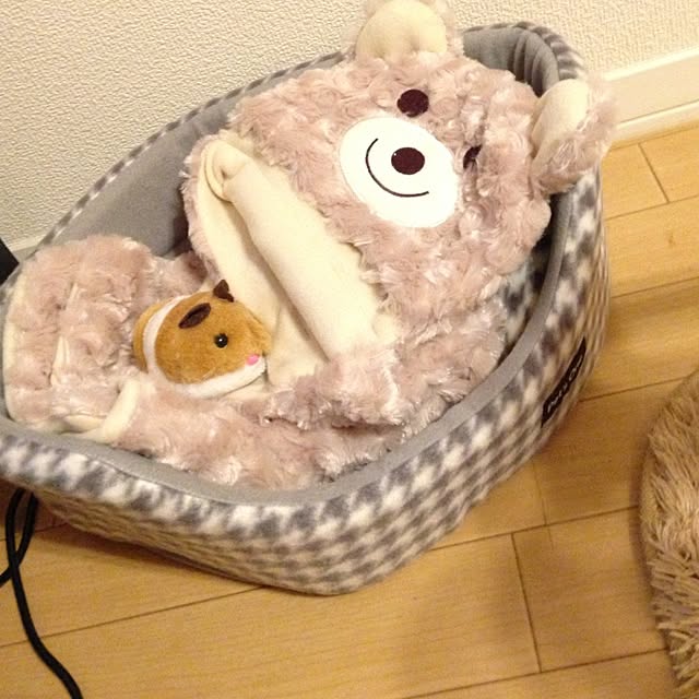 noahanaさんの実例写真