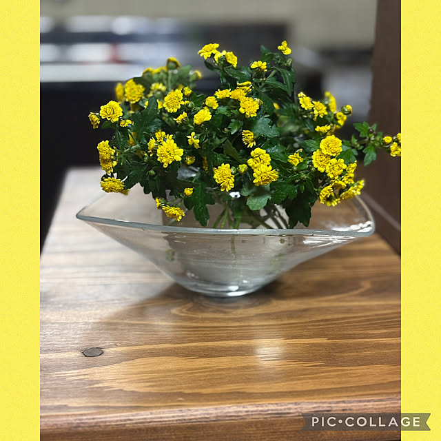 Smilkazuさんの部屋