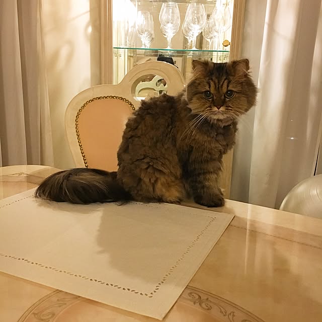 musicsukiさんの実例写真