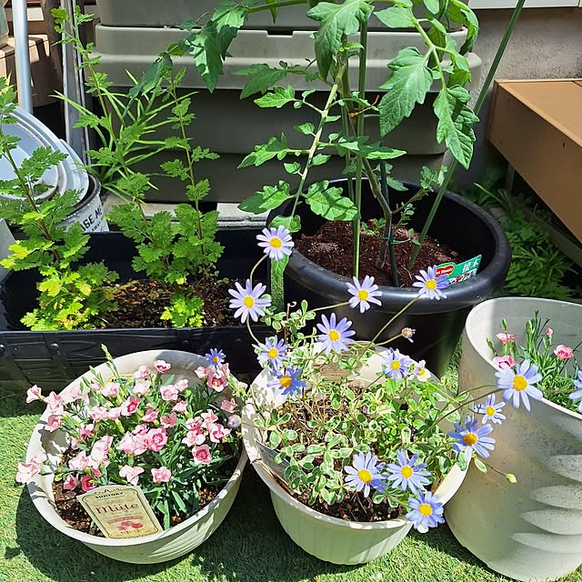 Blancheさんの部屋