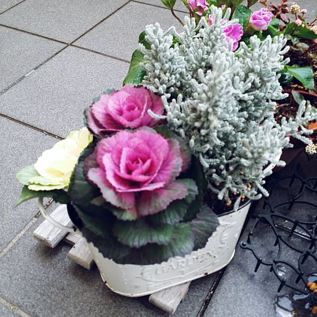 nkeiko0912さんの実例写真