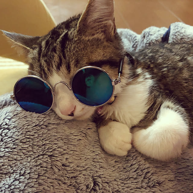 nacchi4さんの実例写真