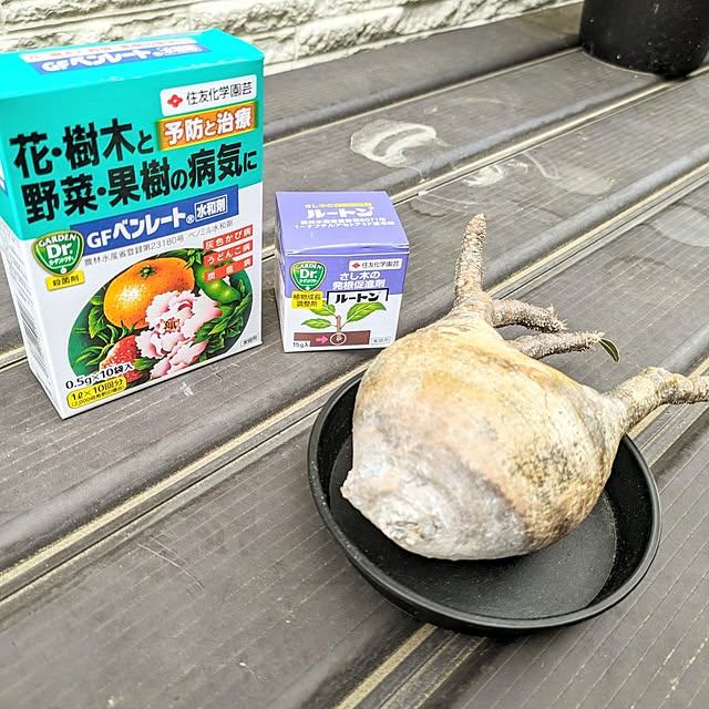 ot-gardenさんの部屋