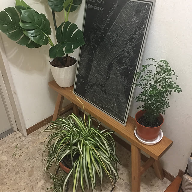 無印良品/観葉植物/フェイクグリーン/玄関/入り口のインテリア実例 - 2020-07-17 00:52:42