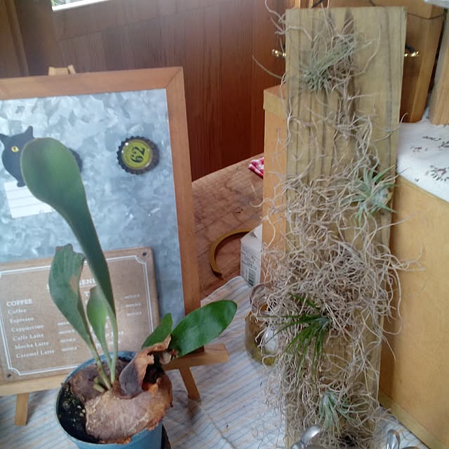 shusen.miyaさんの実例写真