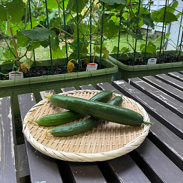 maronさんの部屋