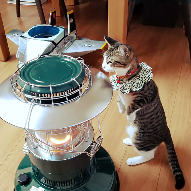 mochicoさんの実例写真