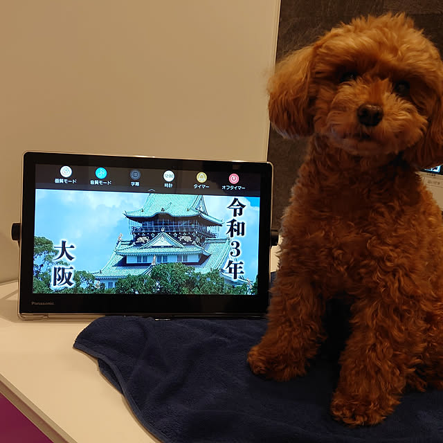 toshihiro323さんの実例写真